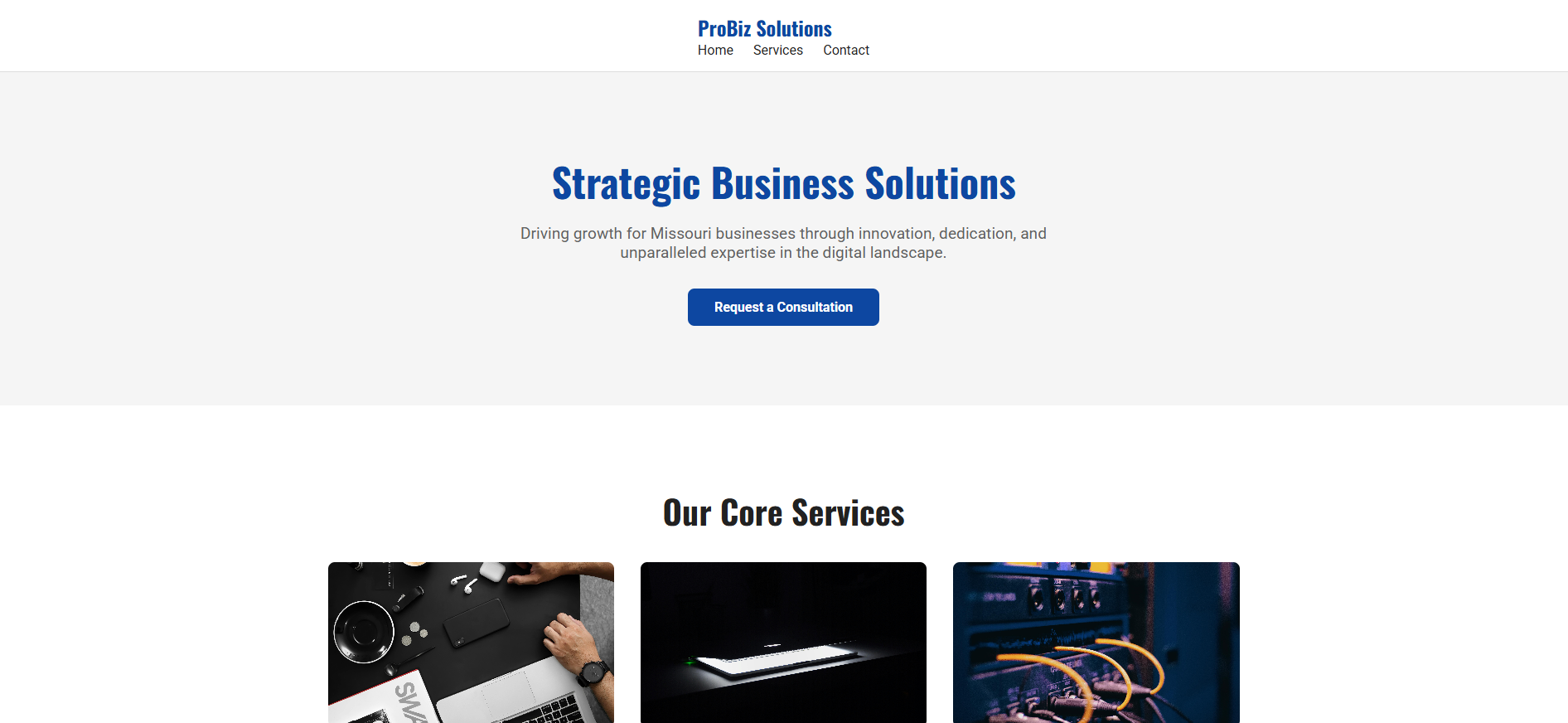 The Professional website design concept